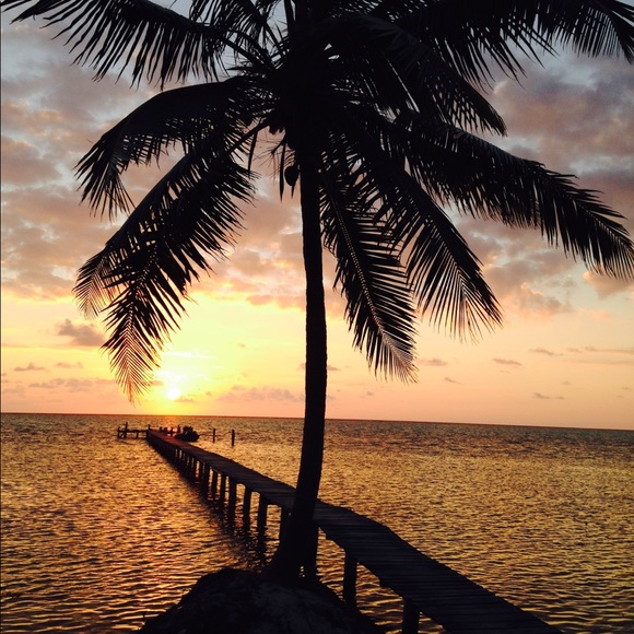 Meet your Posher, Amy - Picture 5 of 5